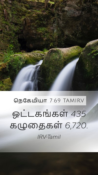 நெகேமியா 7:69 TAMIRV Mobile Phone Wallpaper - ஒட்டகங்கள் 435 - Mobile Bible Verse Wallpaper