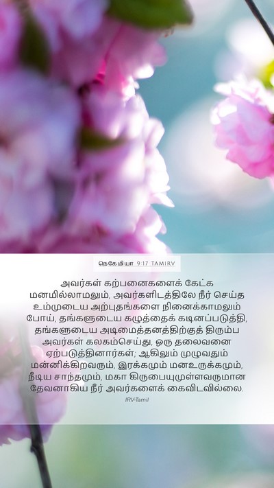 நெகேமியா 9:17 TAMIRV Bible Verse Image