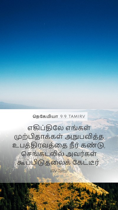 நெகேமியா 9:9 TAMIRV Bible Verse Image