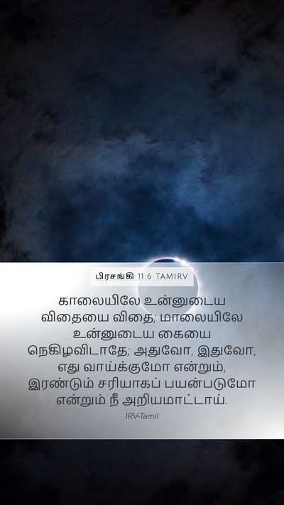 பிரசங்கி 11:6 TAMIRV Bible Verse Image