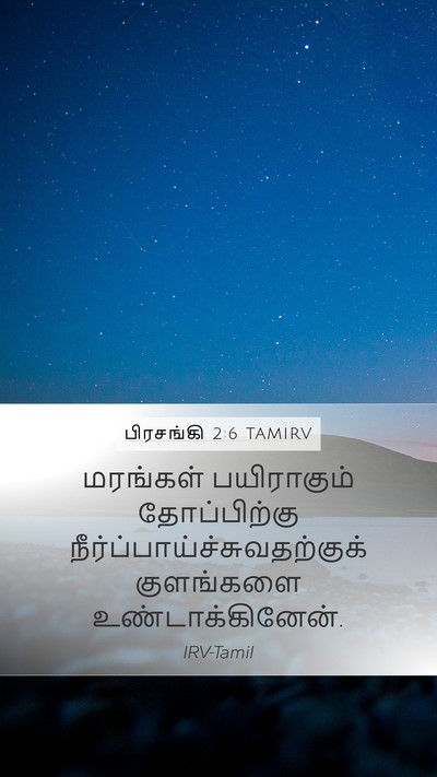 பிரசங்கி 2:6 TAMIRV Bible Verse Image