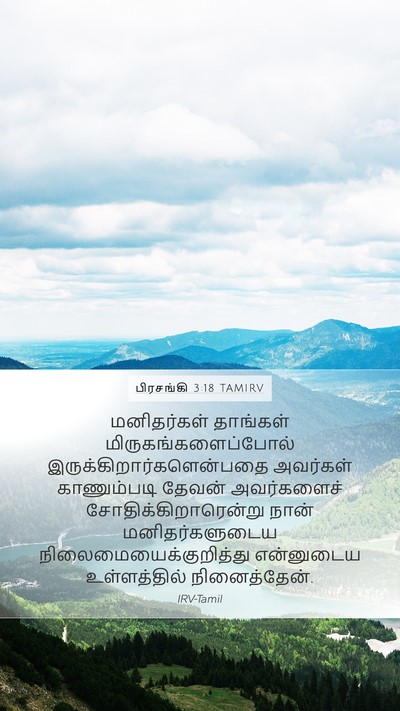 பிரசங்கி 3:18 TAMIRV Mobile Phone Wallpaper - மனிதர்கள் தாங்கள் - Mobile Bible Verse Wallpaper