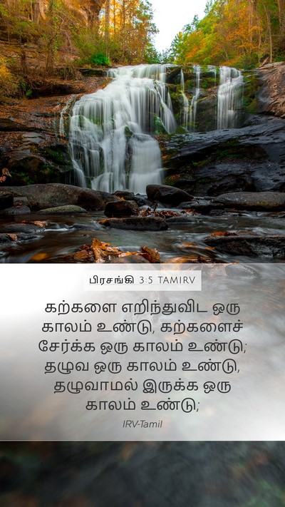 பிரசங்கி 3:5 TAMIRV Mobile Phone Wallpaper - கற்களை எறிந்துவிட - Mobile Bible Verse Wallpaper