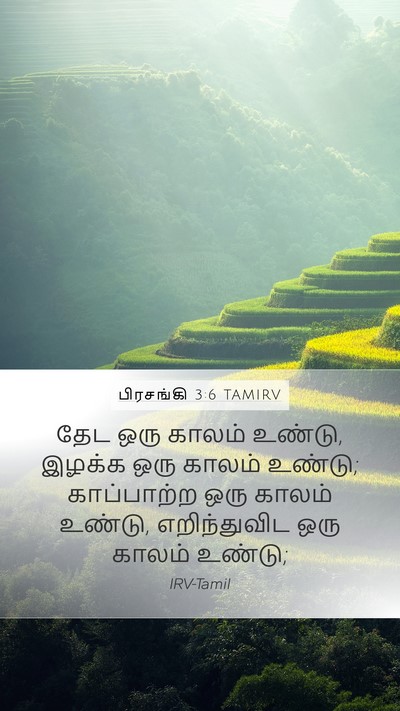 பிரசங்கி 3:6 TAMIRV Mobile Phone Wallpaper - தேட ஒரு காலம் - Mobile Bible Verse Wallpaper