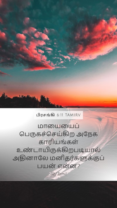 பிரசங்கி 6:11 TAMIRV Bible Verse Image