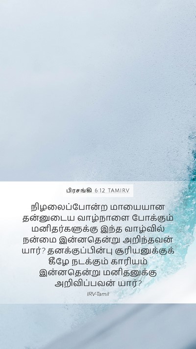 பிரசங்கி 6:12 TAMIRV Bible Verse Image