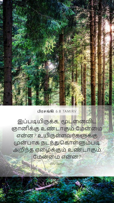 பிரசங்கி 6:8 TAMIRV Bible Verse Image