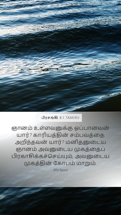 பிரசங்கி 8:1 TAMIRV Bible Verse Image