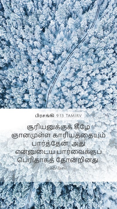 பிரசங்கி 9:13 TAMIRV Bible Verse Image