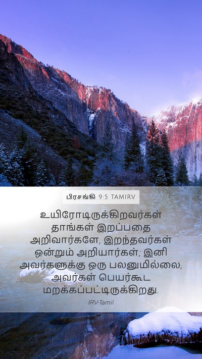 பிரசங்கி 9:5 TAMIRV Mobile Phone Wallpaper -  - Mobile Bible Verse Wallpaper
