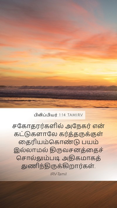 பிலிப்பியர் 1:14 TAMIRV Bible Verse Image
