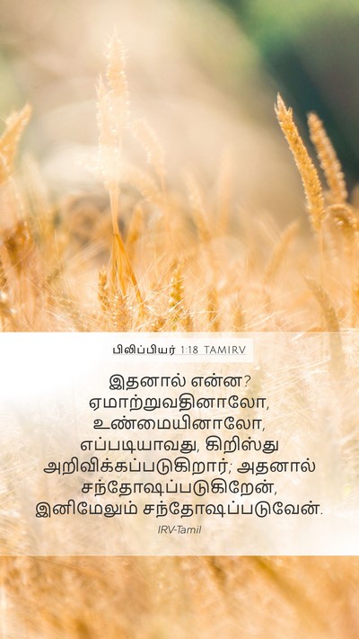 பிலிப்பியர் 1:18 TAMIRV Bible Verse Image