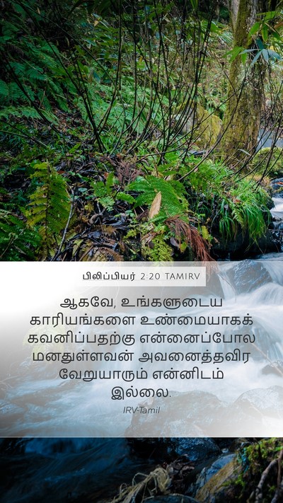 பிலிப்பியர் 2:20 TAMIRV Bible Verse Image