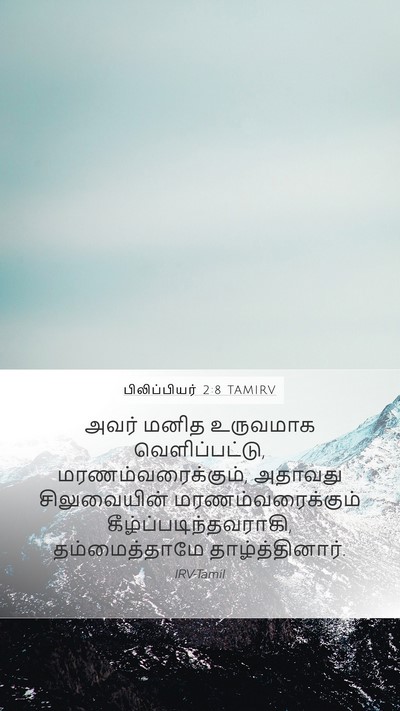 பிலிப்பியர் 2:8 TAMIRV Bible Verse Image