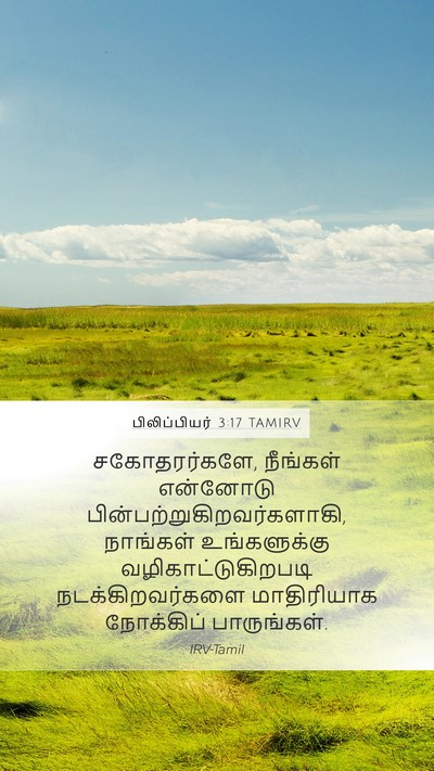 பிலிப்பியர் 3:17 TAMIRV Bible Verse Image