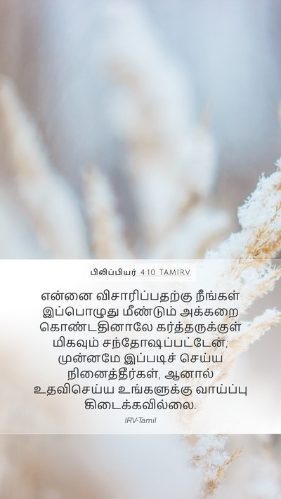 பிலிப்பியர் 4:10 TAMIRV Bible Verse Image