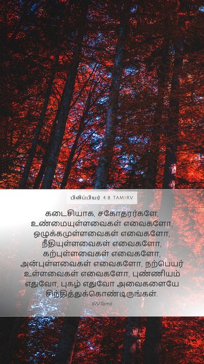 பிலிப்பியர் 4:8 TAMIRV Bible Verse Image