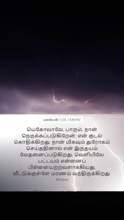 புலம்பல் 1:20 TAMIRV Bible Verse Image