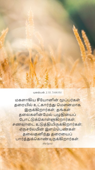 புலம்பல் 2:10 TAMIRV Bible Verse Image