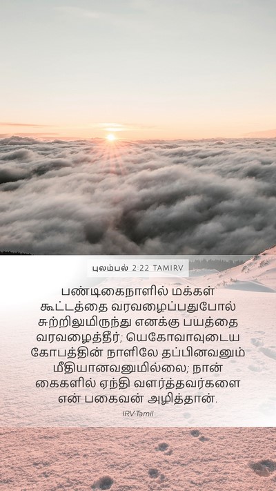 புலம்பல் 2:22 TAMIRV Bible Verse Image