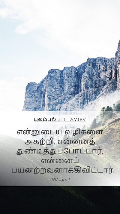 புலம்பல் 3:11 TAMIRV Bible Verse Image