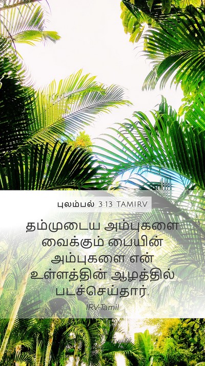 புலம்பல் 3:13 TAMIRV Bible Verse Image