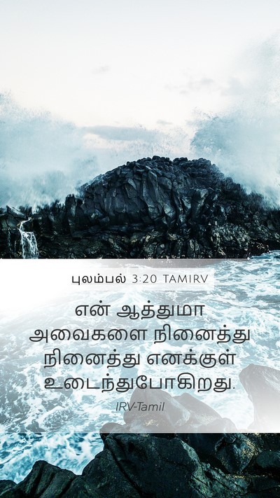 புலம்பல் 3:20 TAMIRV Bible Verse Image
