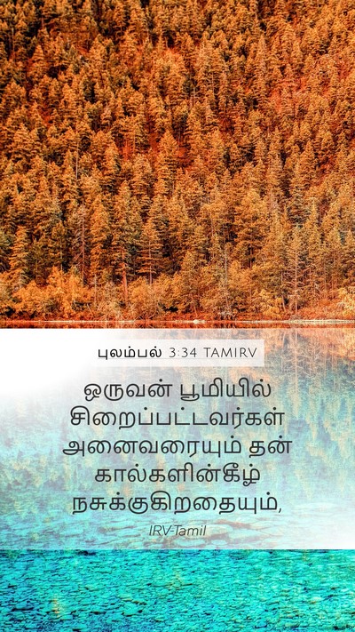 புலம்பல் 3:34 TAMIRV Bible Verse Image