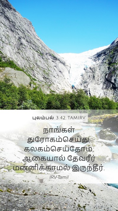 புலம்பல் 3:42 TAMIRV Bible Verse Image