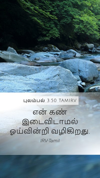 புலம்பல் 3:50 TAMIRV Bible Verse Image