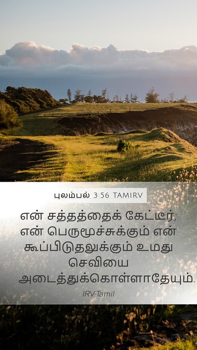 புலம்பல் 3:56 TAMIRV Mobile Phone Wallpaper - என் சத்தத்தைக் - Mobile Bible Verse Wallpaper