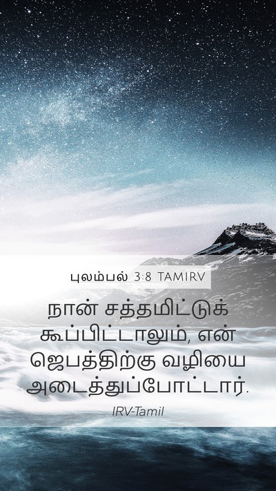 புலம்பல் 3:8 TAMIRV Bible Verse Image