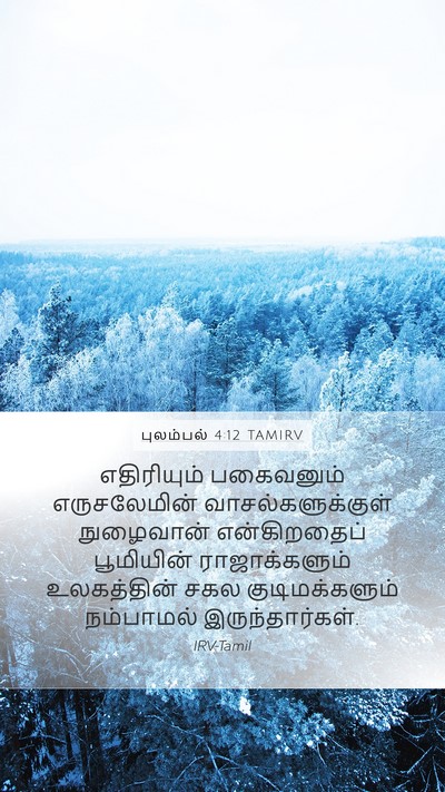 புலம்பல் 4:12 TAMIRV Bible Verse Image