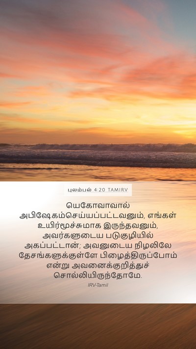 புலம்பல் 4:20 TAMIRV Bible Verse Image