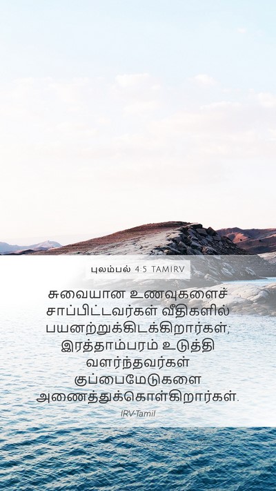 புலம்பல் 4:5 TAMIRV Bible Verse Image