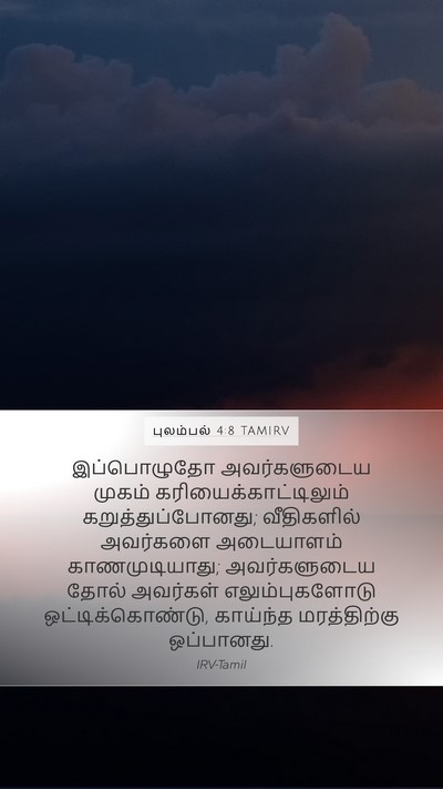 புலம்பல் 4:8 TAMIRV Bible Verse Image