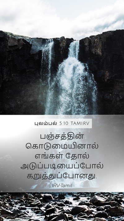 புலம்பல் 5:10 TAMIRV Bible Verse Image