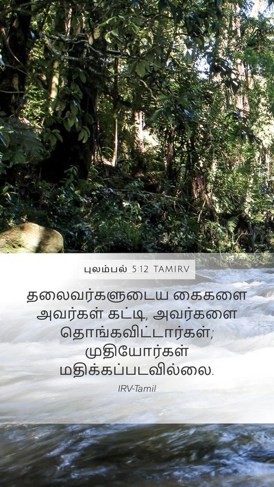 புலம்பல் 5:12 TAMIRV Bible Verse Image