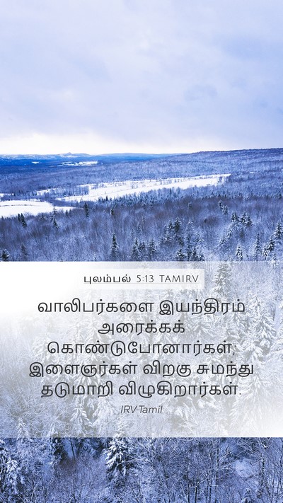புலம்பல் 5:13 TAMIRV Bible Verse Image