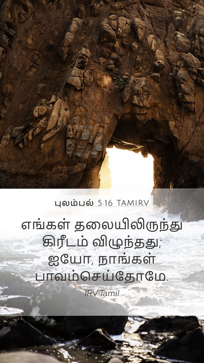புலம்பல் 5:16 TAMIRV Bible Verse Image