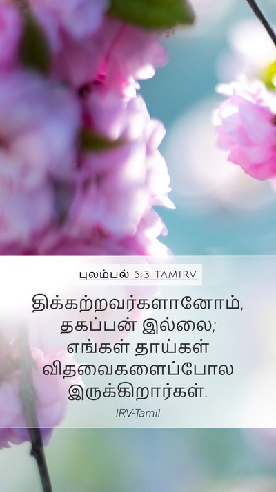 புலம்பல் 5:3 TAMIRV Bible Verse Image
