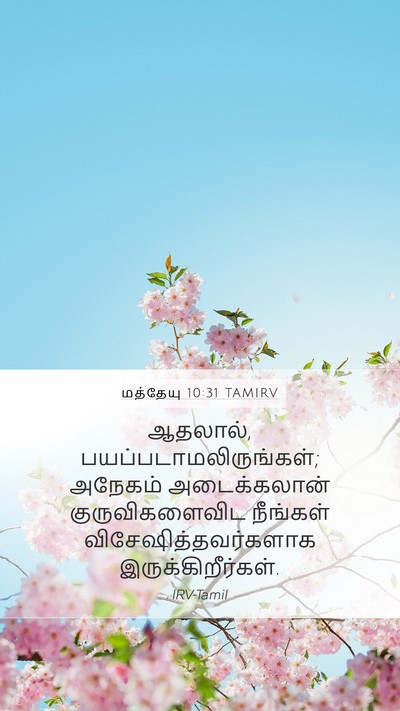 மத்தேயு 10:31 TAMIRV Mobile Phone Wallpaper - ஆதலால், - Mobile Bible Verse Wallpaper
