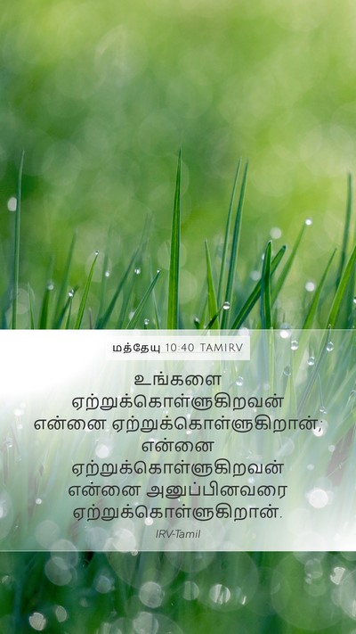 மத்தேயு 10:40 TAMIRV Bible Verse Image