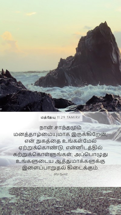 மத்தேயு 11:29 TAMIRV Bible Verse Image