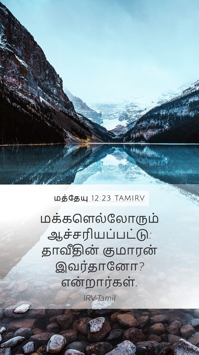 மத்தேயு 12:23 TAMIRV Bible Verse Image