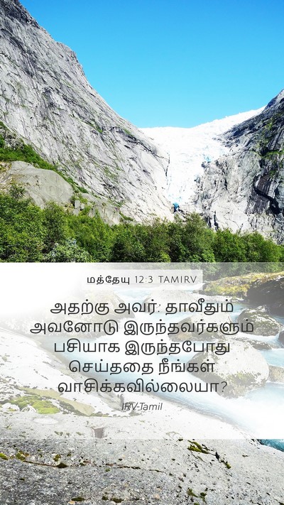 மத்தேயு 12:3 TAMIRV Mobile Phone Wallpaper - அதற்கு அவர்: - Mobile Bible Verse Wallpaper