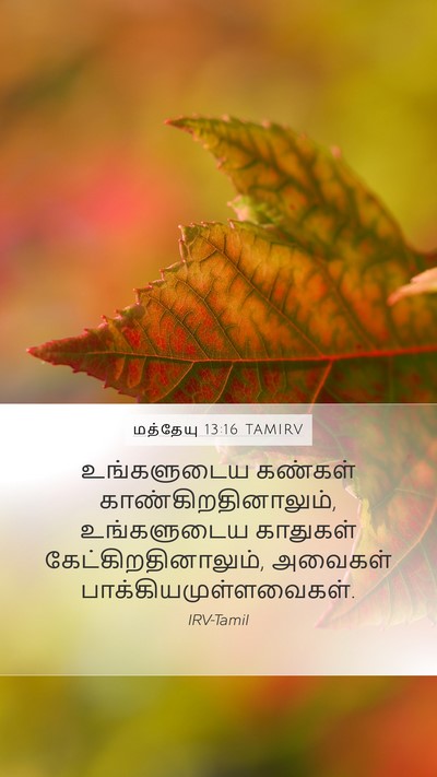 மத்தேயு 13:16 TAMIRV Bible Verse Image
