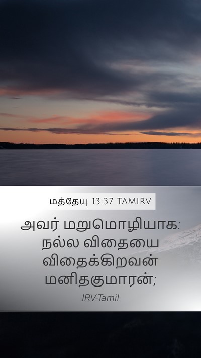 மத்தேயு 13:37 TAMIRV Mobile Phone Wallpaper - அவர் மறுமொழியாக: - Mobile Bible Verse Wallpaper