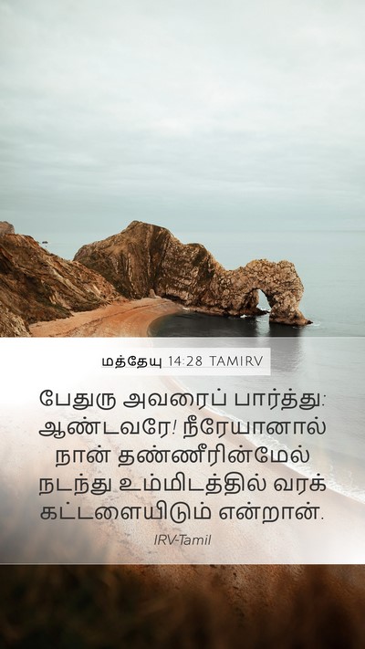 மத்தேயு 14:28 TAMIRV Mobile Phone Wallpaper - பேதுரு அவரைப் - Mobile Bible Verse Wallpaper