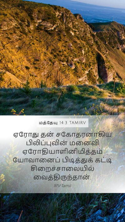 மத்தேயு 14:3 TAMIRV Mobile Phone Wallpaper - ஏரோது தன் - Mobile Bible Verse Wallpaper